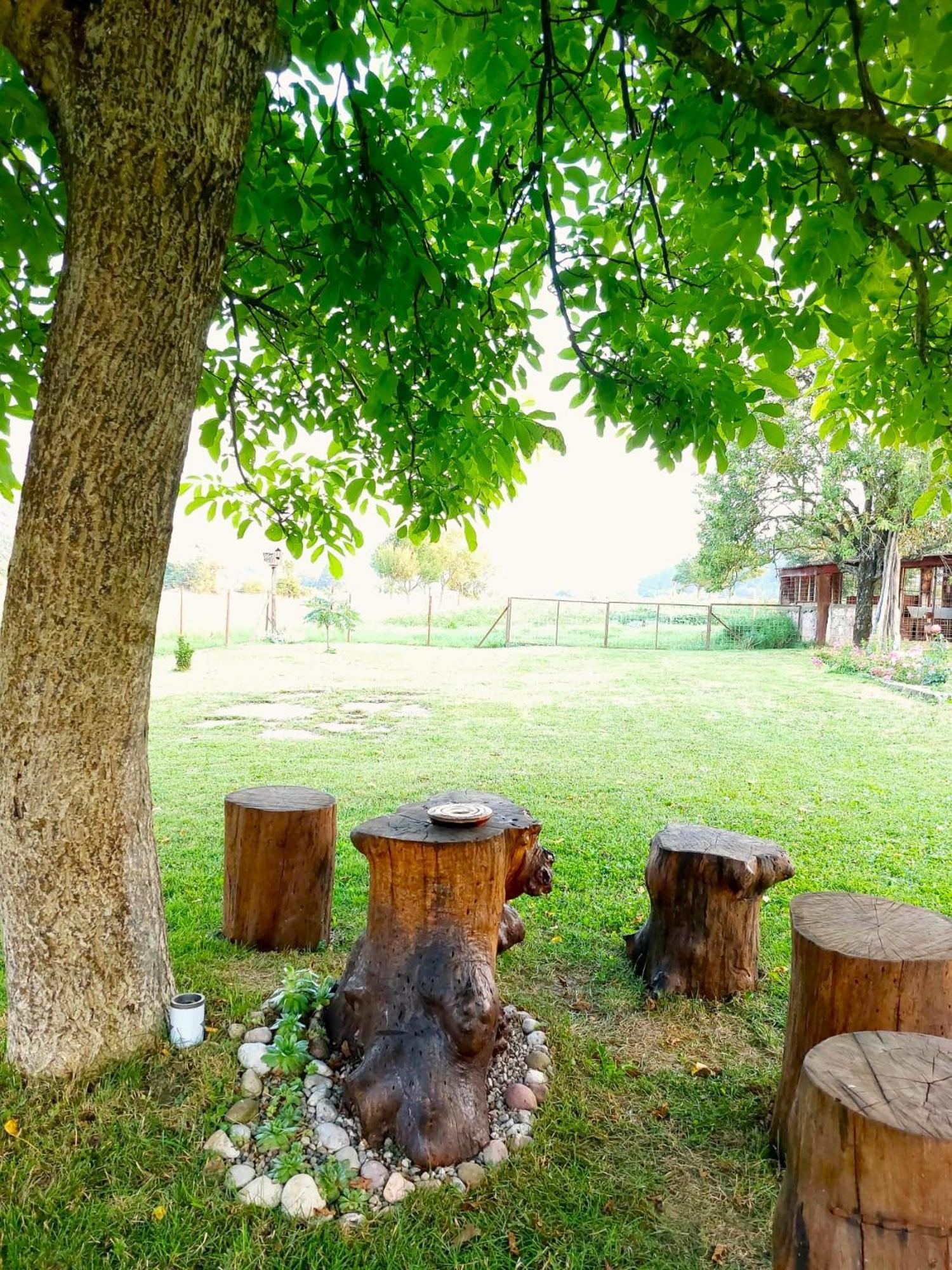 Apartman Rita Perusic Екстер'єр фото