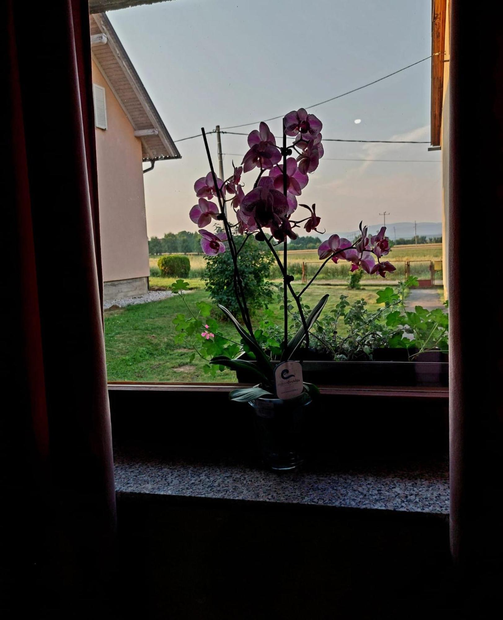 Apartman Rita Perusic Екстер'єр фото